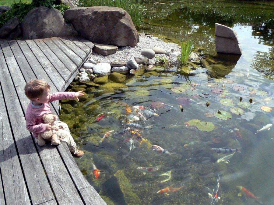 Kind am Teich mit Fischen