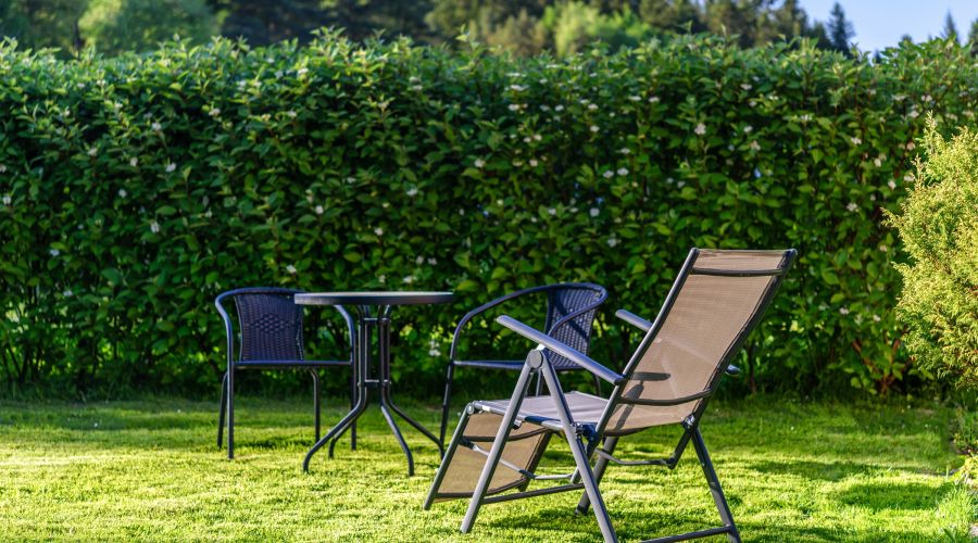 Gartenbereich mit Tisch und Stühlen, vor einer dichten grünen Kirschlorbeer-Hecke.