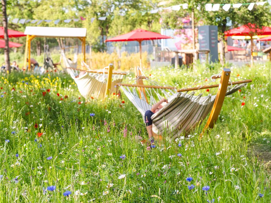 Menschen relaxen in Hängematten auf Blumenwiese