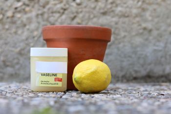 Vaseline und Zitrone am Topf