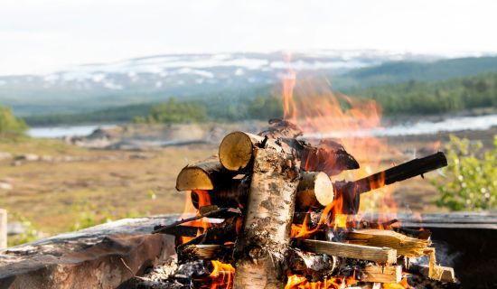 Lagerfeuer mit Birkenholz