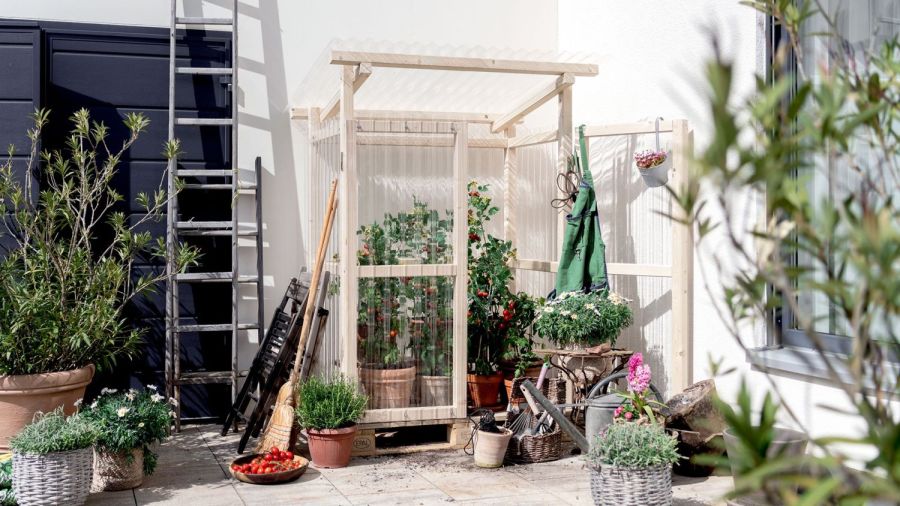 DIY-Anleitung fertiges Tomatenhaus