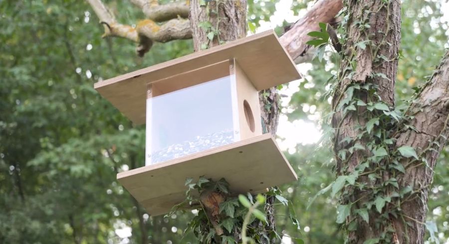 Ein Eichhörnchen Futterhaus aus Holz, das an einem Baum befestigt ist