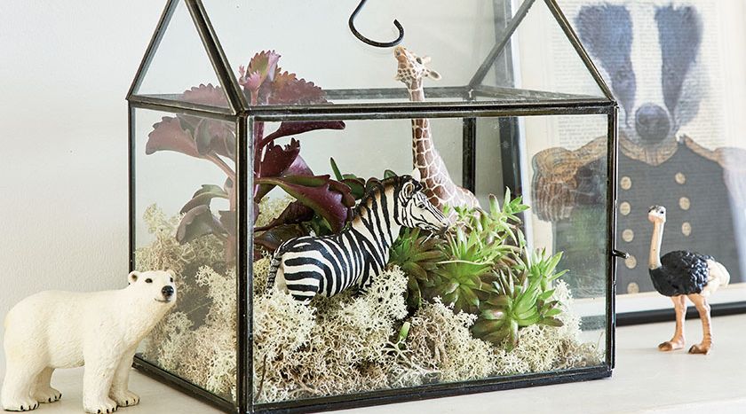 Kleines Terrarium mit Tieren und Pflanzen