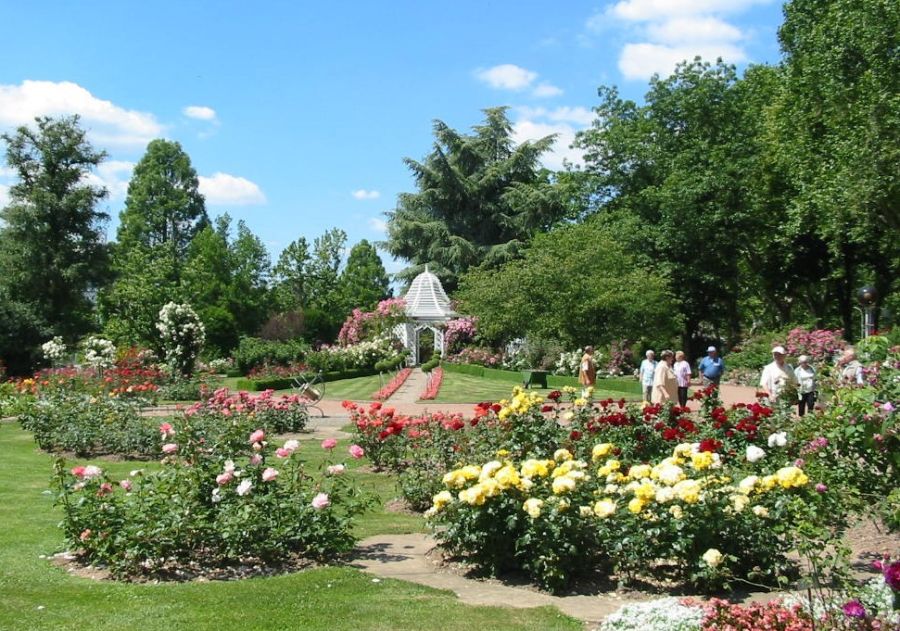 Blühender Rosengarten mit Pavillon