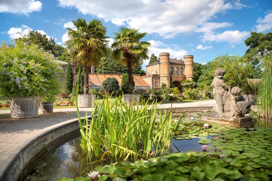 Botanischer Garten Karlsruhe mit dem Gewächshaus und Teich im Vordergrund