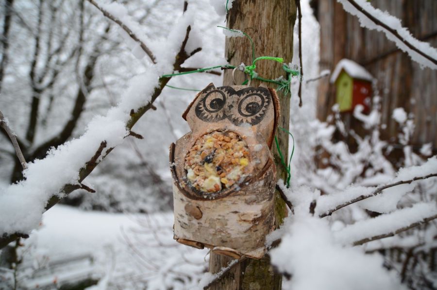 Befüllte Vogel Futtereule im Garten