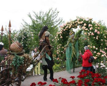 Mittelalterliche Schausteller ziehen durch blühenden Rosenbogen