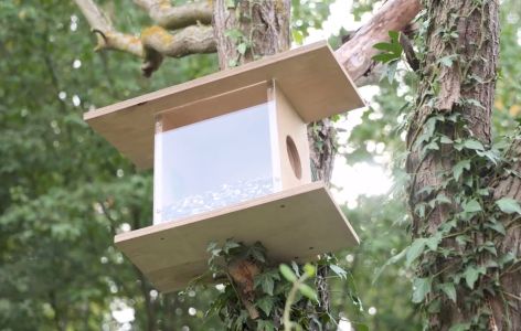 Ein Eichhörnchen Futterhaus aus Holz, das an einem Baum befestigt ist