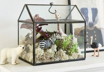 Kleines Terrarium mit Tieren und Pflanzen