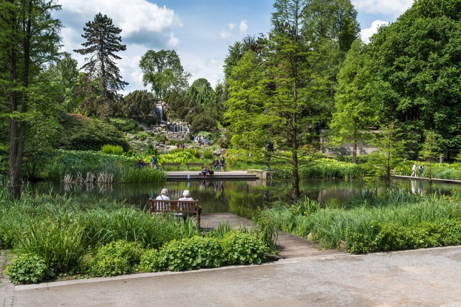 Grugapark: Waldsee mit Wasserfall