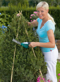 Frau schneidet einen Buchsbaum